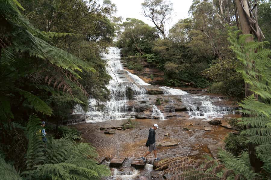 Blue Mountains Adventure: Scenic World, Zoo & Koala Photo - Sydney Zoo: the koala photo is the headline, but plan your time