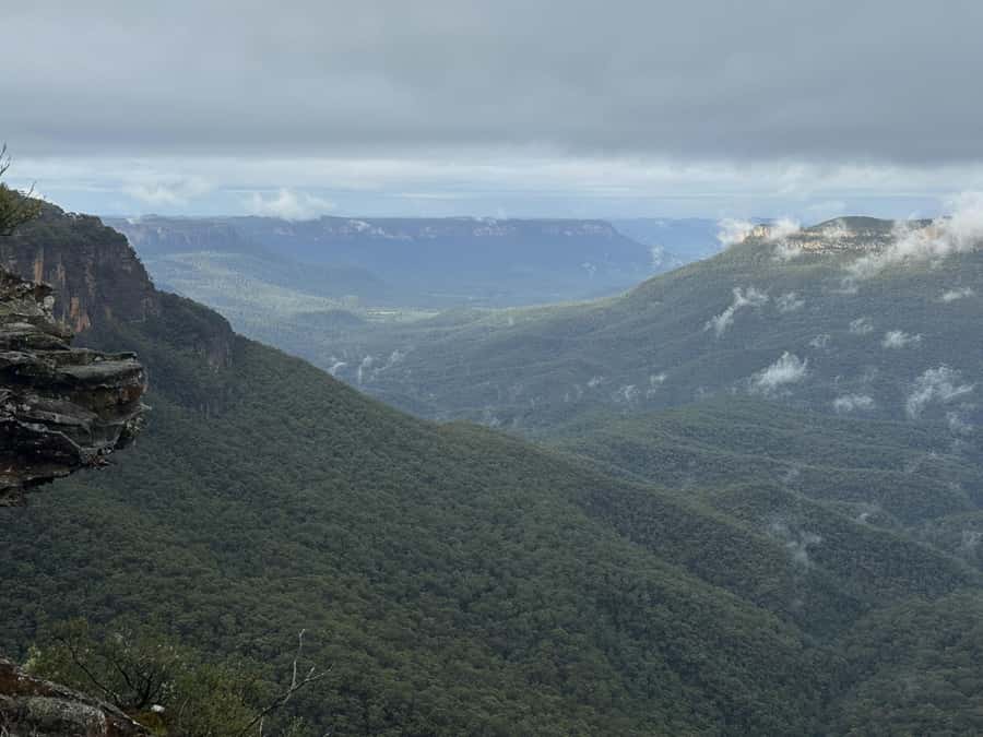Blue Mountains Adventure: Scenic World, Zoo & Koala Photo - Price and value: what you’re really paying for