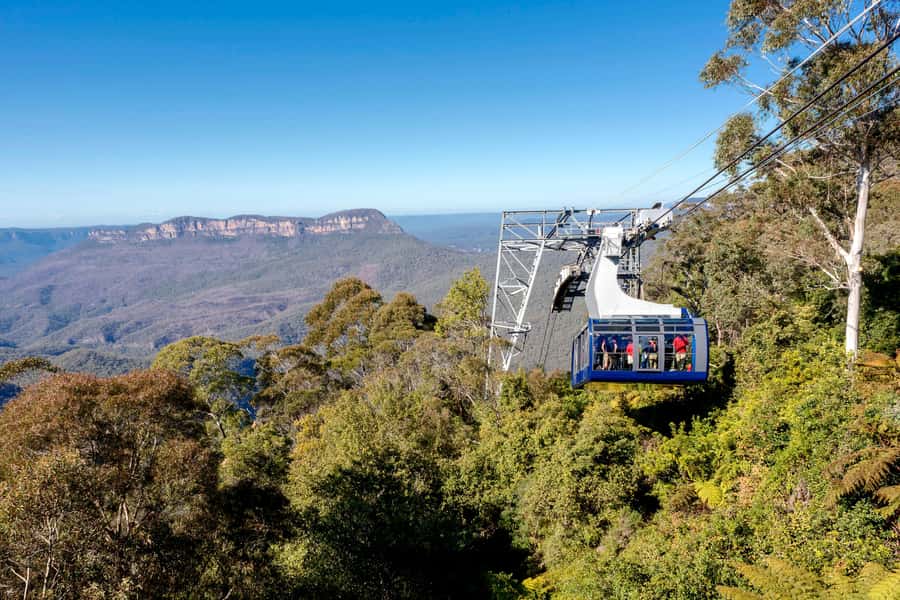 Blue Mountains Adventure: Scenic World, Zoo & Koala Photo - Echo Point and the Three Sisters: your first real mountain payoff