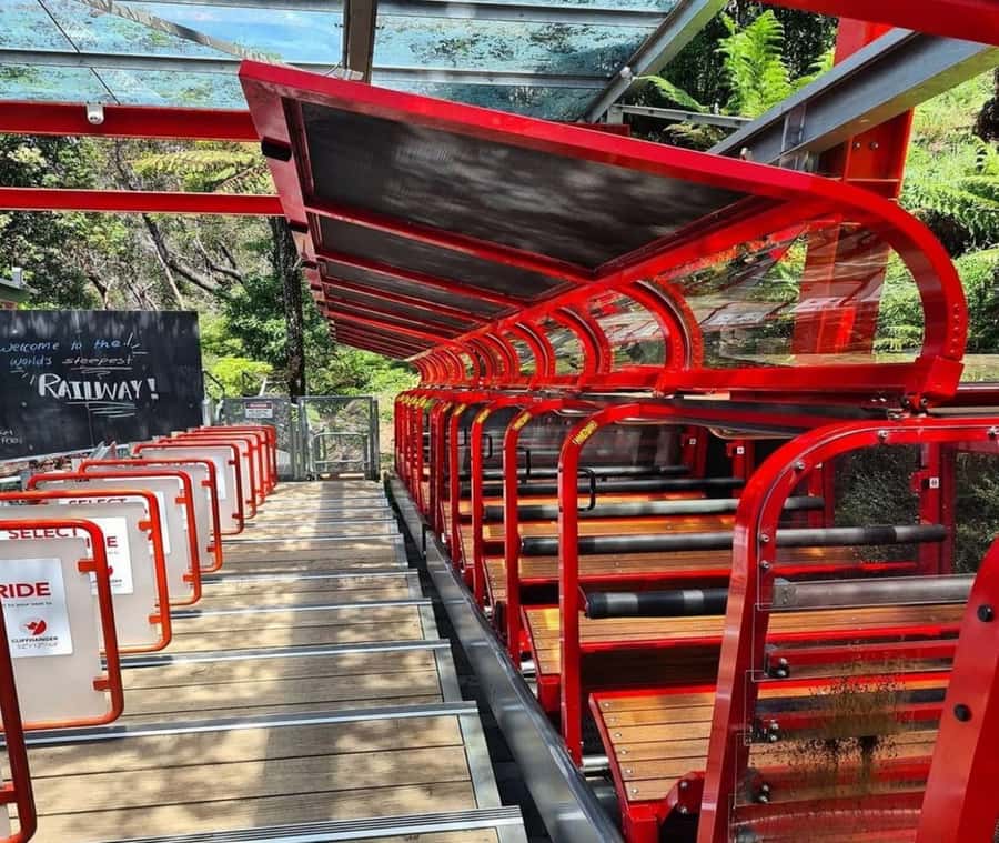 Blue Mountains Adventure: Wild Boar Rock & Cable Car - Where Wild Boar Rock fits into the day