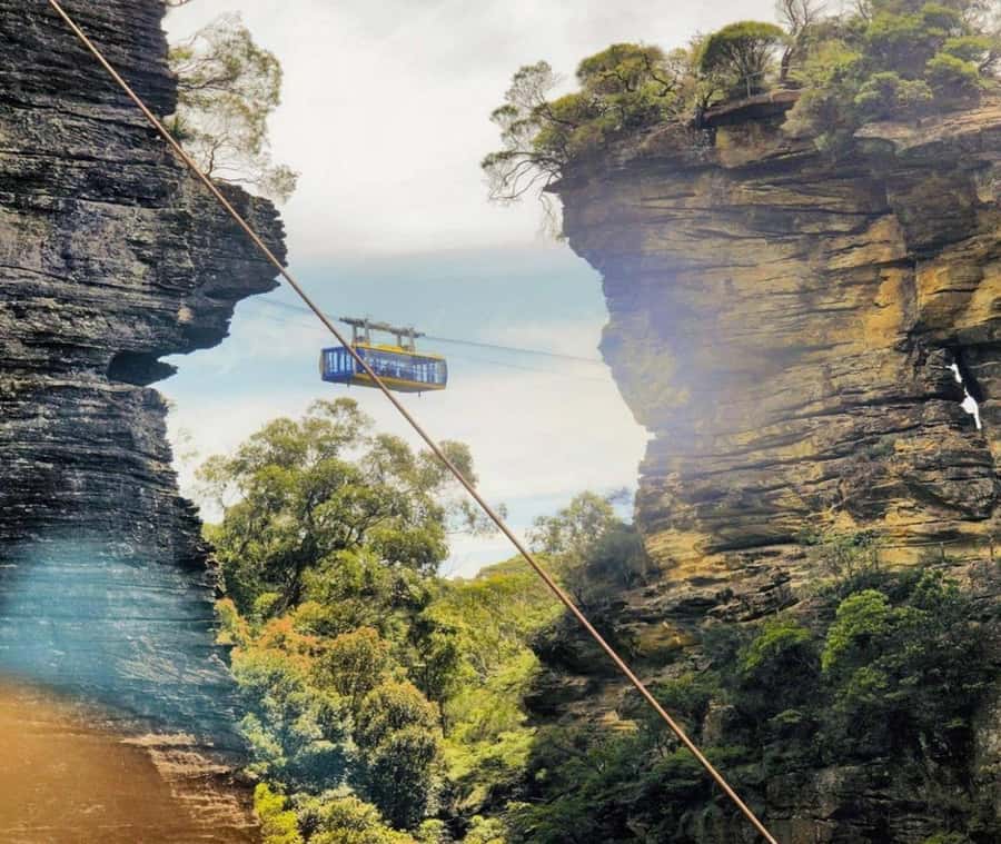 Blue Mountains Adventure: Wild Boar Rock & Cable Car - Getting back to Sydney: coach drop-off or a scenic ferry