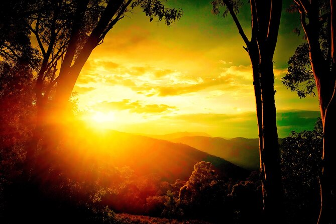 Blue Mountains Day, Sunset Tour & Glow Worms Night Adventure - Key highlights