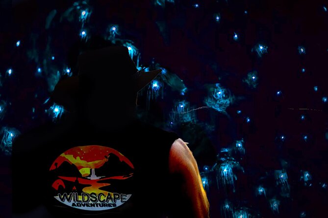 Blue Mountains Day, Sunset Tour & Glow Worms Night Adventure - A Day That Turns From Lookouts to Glow Worms