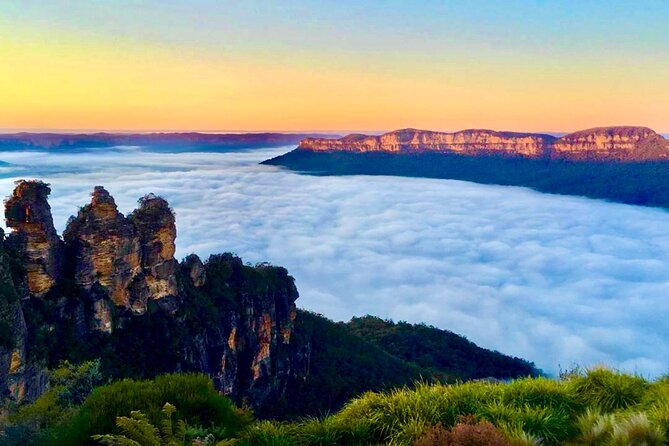 Blue Mountains Day, Sunset Tour & Glow Worms Night Adventure - Featherdale Sydney Wildlife Park: The Perfect Warm-Up Stop