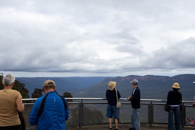 Blue Mountains Day Tour from Sydney - Prince Henry Cliff Walk: Self-Guided Lookouts That Make the Day Feel Real