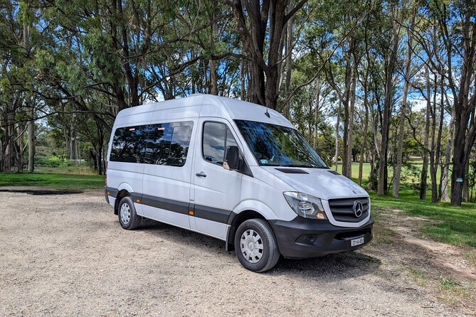 Blue Mountains Day Tour -Scenic World, Koalas & Roos (15 ppl LUX) - Wentworth Falls plus Aboriginal rock engraving: more than just overlooks