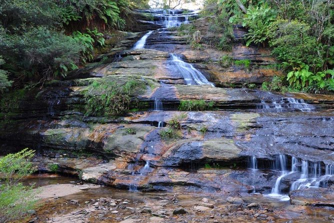 Blue Mountains Day Tour :Wildlife, Waterfall Walk & Three Sisters - The pacing inside an 8-hour day: how the schedule stays comfortable