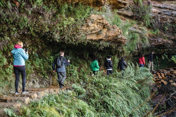 Blue Mountains Day Tour With Bushwalks, Waterfalls & Featherdale - Weather is the real boss of the Blue Mountains