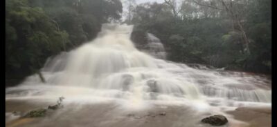 Blue Mountains day tour with Cruise, Scenic world pass & Zoo - Morning Pickup and Sydney Zoo Before the Day Gets Hot