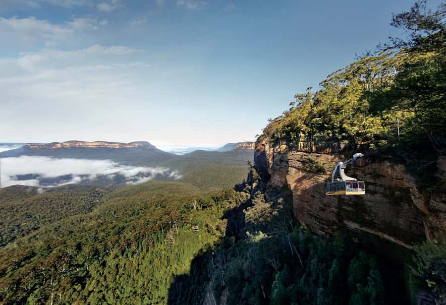 Blue Mountains day tour with Cruise, Scenic world pass & Zoo - Wentworth Falls or Bridal Veil Falls: Easy Bushwalk, Big Reward