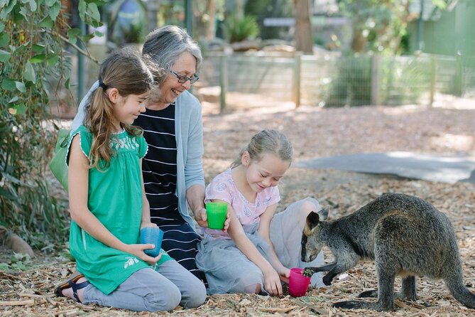 Blue Mountains Day Tour with Scenic World and Wildlife Park Entry - Price and value: what $119.06 covers (and what you’ll still pay)