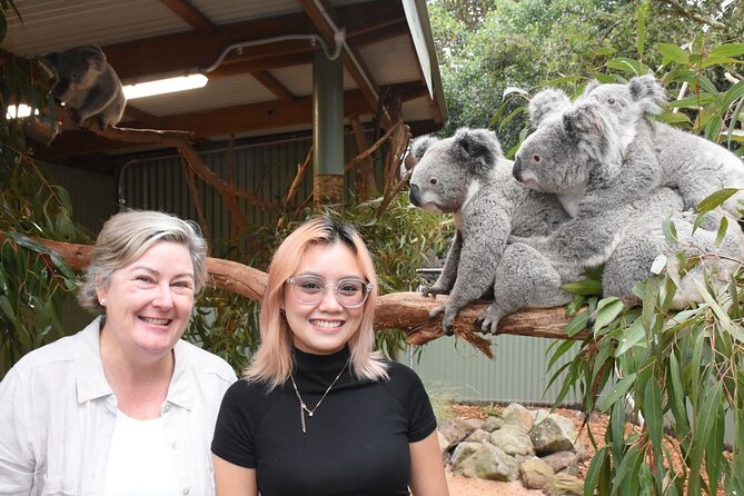 Blue Mountains Day Tour with Wildlife and Scenic World Entry - Leura village: the calm hour that keeps the day from feeling like a sprint