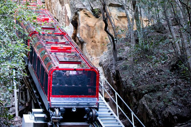 Blue Mountains Day Tour with Wildlife, Walks and Scenic World - Why the Blue Mountains feel different from Sydney (and why it matters)