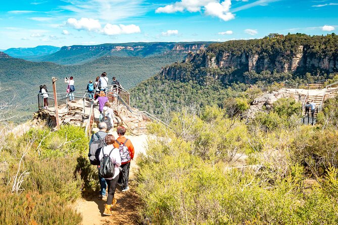 Blue Mountains Day Tour with Wildlife, Walks and Scenic World - Scenic World: the steep railway, the Skyway, and the extra budget you should plan