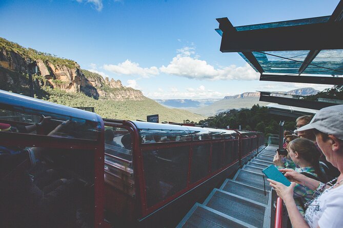 Blue Mountains Day Tour with Wildlife, Walks and Scenic World - Blue Mountains National Park: guided bushwalks in remote-feeling areas