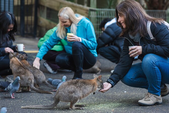 Blue Mountains Day Tour with Wildlife, Walks and Scenic World - Guides make a difference: Ben, Patricia, Stu, Nigel, and Stew energy