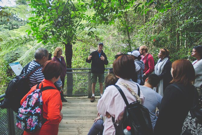 Blue Mountains Day Tour with Wildlife, Walks and Scenic World - The early start at 7:00 am and what it means for your day plan
