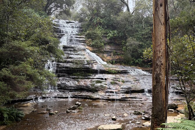 Blue Mountains Day Tours W Scenic World and Lunch - A tight 10-hour circuit that hits the icons