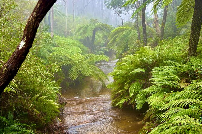 Blue Mountains Day Tours W Scenic World and Lunch - Three Sisters and the Jamison Valley viewpoints