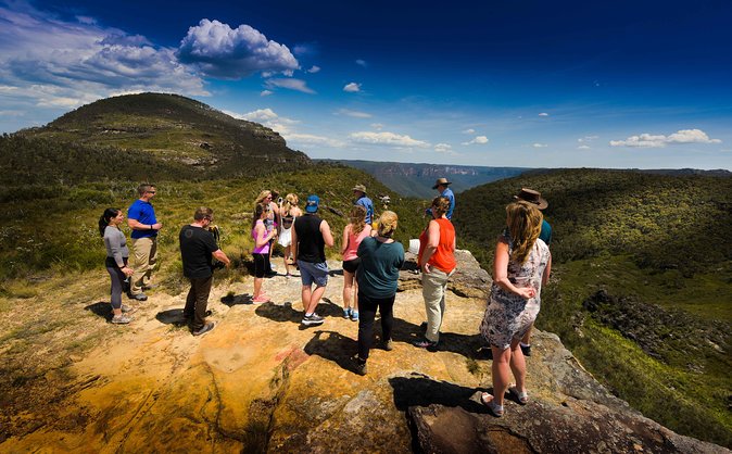 Blue Mountains Deluxe Small-Group Eco Wildlife Tour from Sydney - Price and logistics: what $210.87 really buys you