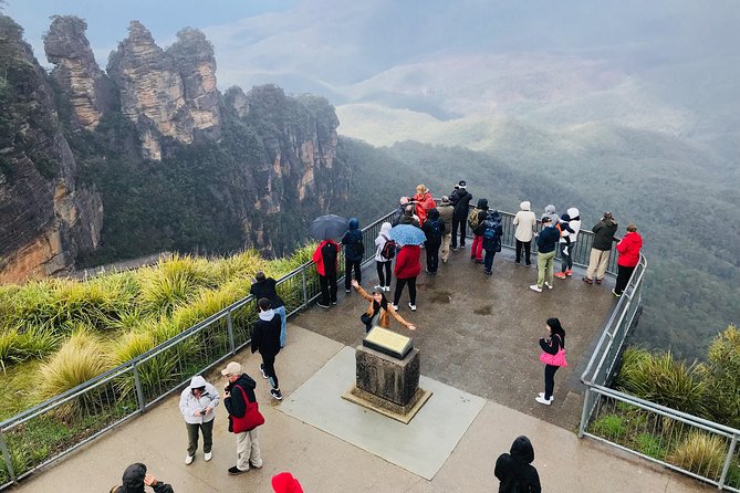 Blue Mountains Full Day Guided Tour - Wildlife spotting: kangaroos, wallabies, and emu track carvings
