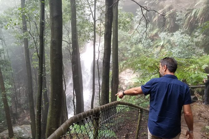 Blue Mountains Highlights, Wildlife Park and Scenic World Full Day Private Tour - National Park walking that focuses your eyes