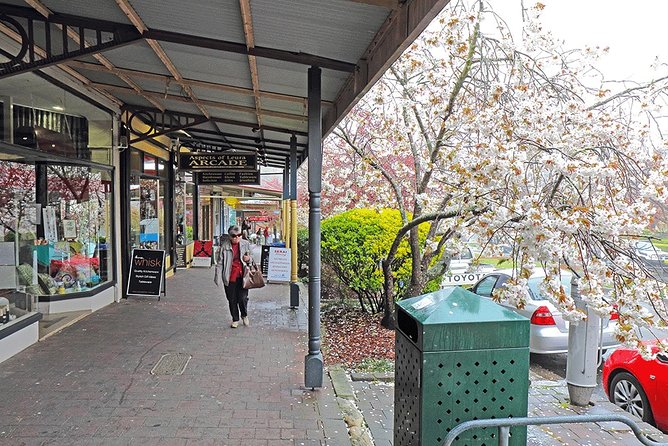 Blue Mountains Highlights, Wildlife Park and Scenic World Full Day Private Tour - The guide factor: why names like Ronnie, Greg, and James pop up