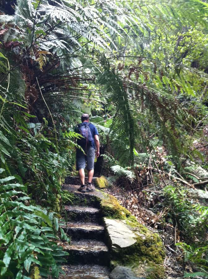 Blue Mountains: Inside a World Heritage National Park - Govetts Leap to Evans Lookout: The Optional Cliff-Top Walk