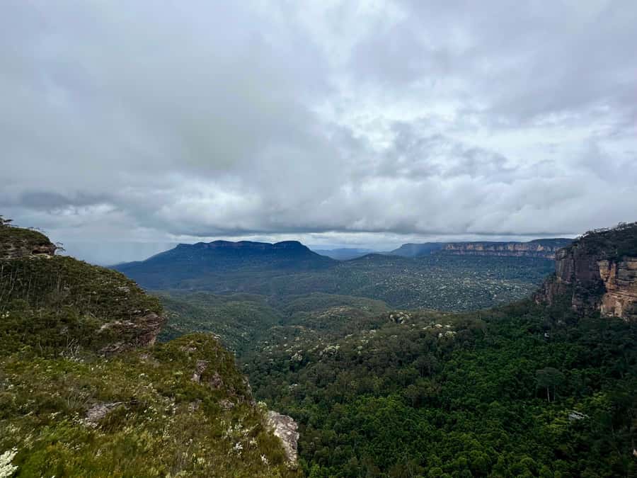 Blue Mountains: Inside a World Heritage National Park - Lunch in Blackheath: Fuel for the Afternoon Views