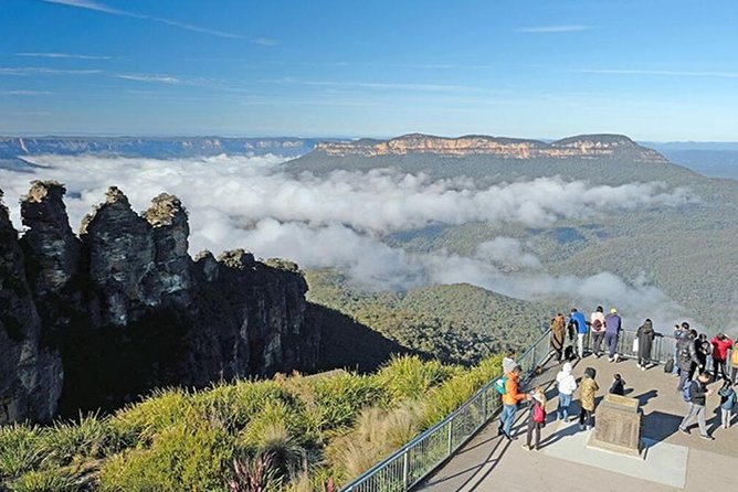 Blue Mountains | Koalas, Kangaroos & Bondi Beach Private Tour - Private Minivan Pickup From Sydney: Comfort That Changes the Day