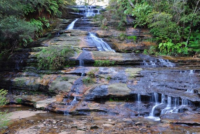 Blue Mountains | Koalas, Kangaroos & Bondi Beach Private Tour - Bondi Beach in 30 Minutes: A Smart Quick Hit (If Time Allows)