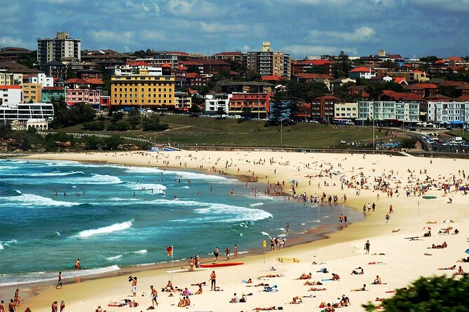 Blue Mountains | Koalas, Kangaroos & Bondi Beach Private Tour - Echo Point and Katoomba Falls: Short Stops That Actually Matter