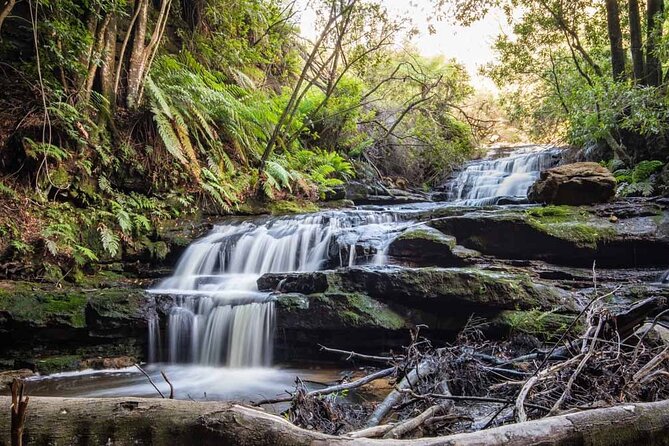 Blue Mountains Luxury Tour from Sydney - A private Blue Mountains day from Sydney, designed to feel easy
