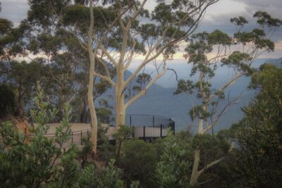 Blue Mountains Private Charter - Wentworth Falls: bush walk views in the Jamison Valley