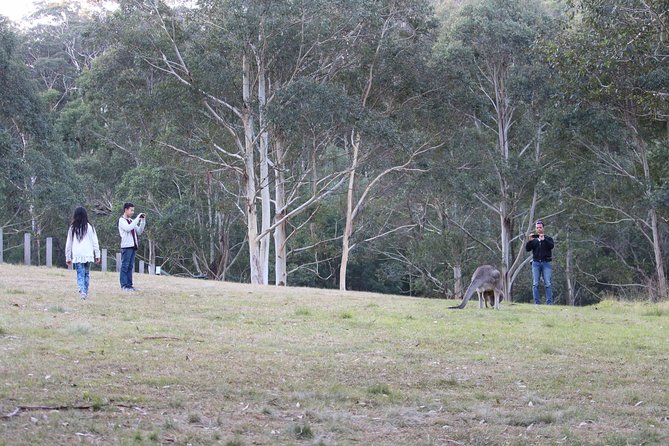 Blue Mountains Private Charter - Katoomba and Cliff Drive: the Jamison Valley on your timetable
