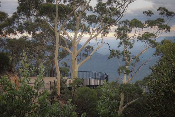 Blue Mountains Private Charter - Wentworth Falls: bush walk views in the Jamison Valley
