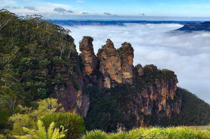 Blue Mountains Private Hiking Tour from Sydney - Price and value: is this worth $1,195.98 per group?