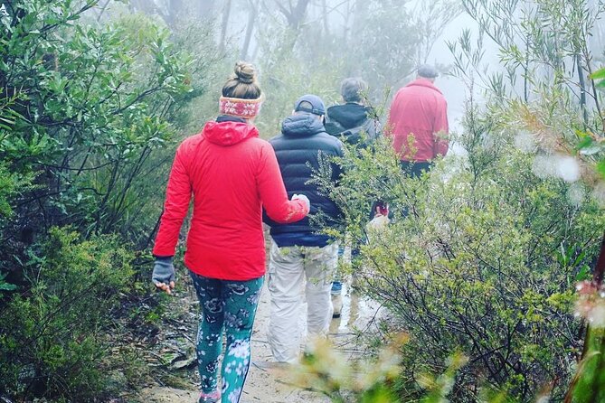Blue Mountains Private Hiking Tour from Sydney - Timing and pacing: a 10-hour day that still feels doable