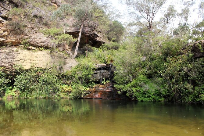 Blue Mountains Private Tour - Private pickup and a day built around weather and your pace
