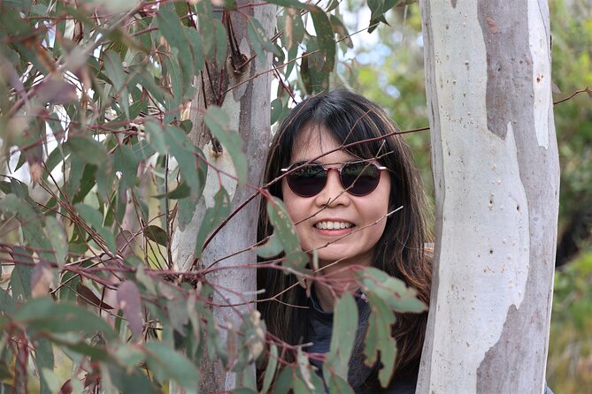 Blue Mountains Private Tour - Leura and bushwalk options that actually fit your day