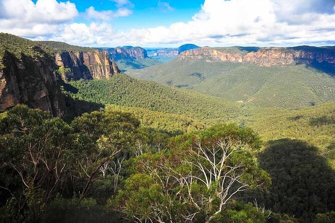 Blue Mountains Private Tour from Sydney - Scenic World railway and cable cars: optional, but for many it’s the win