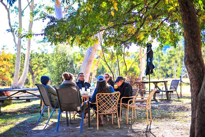 Blue Mountains Private Tour from Sydney - Sydney Olympic Park and the ferry option back to the city