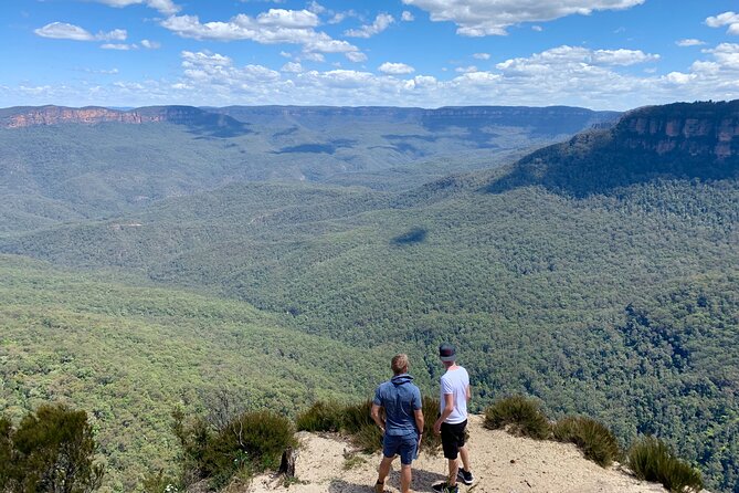 Blue Mountains Private Tour From Sydney, & Featherdale Aussie Animal Park Option - What You’re Really Buying With This Private Blue Mountains Day