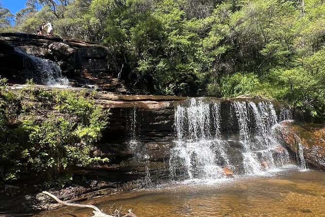 Blue Mountains Private Tour & Hidden Gems, Pick up & Drop off - Scenic World vs Featherdale: how to choose your paid detour