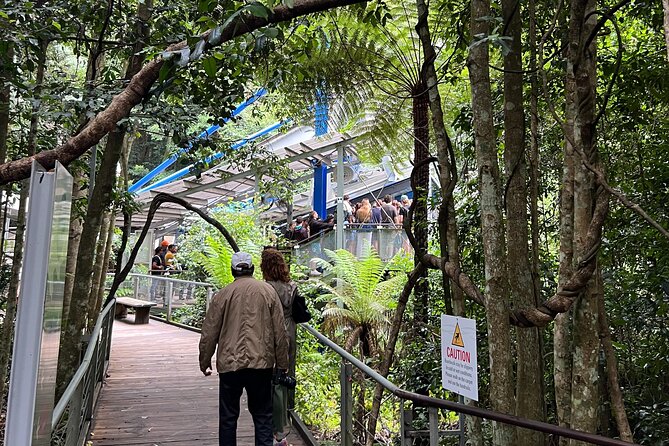 Blue Mountains Private Tour & Hidden Gems, Pick up & Drop off - How to make this day trip feel worth it (not rushed)