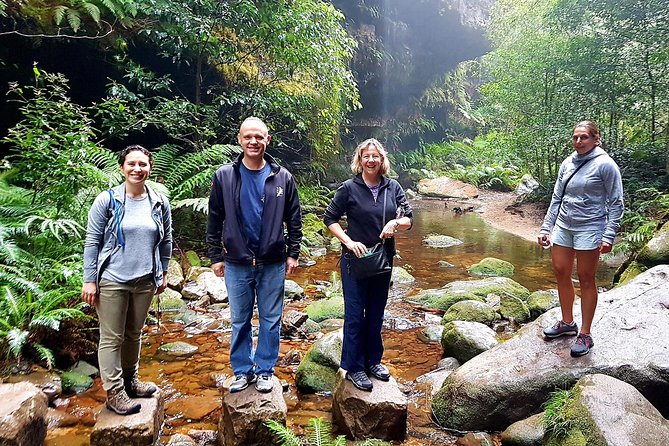 Blue Mountains Private Tour including Wildlife Park - Private Door-to-Door Trip to UNESCO Blue Mountains