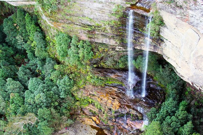 Blue Mountains Private Tour including Wildlife Park - Katoomba Falls: Rainforest Walk and a Waterfall Payoff
