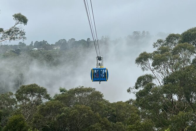 Blue Mountains Private Tour & Scenic World Included - Key highlights you’ll feel fast