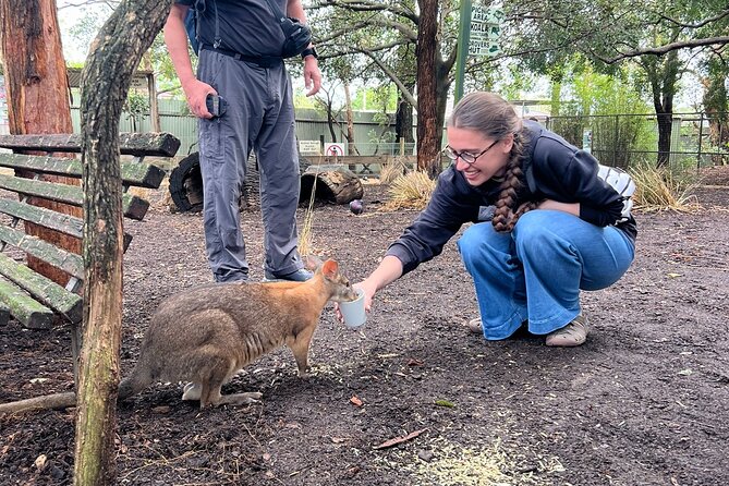 Blue Mountains Private Tour & Scenic World Included - Blackheath vs Featherdale: choose your kind of wow
