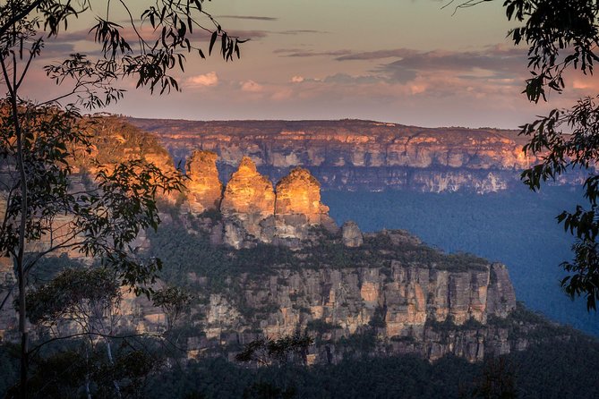 Blue Mountains Private Tour with Kangaroo and Koala Experience - Key Highlights You’ll Notice Fast